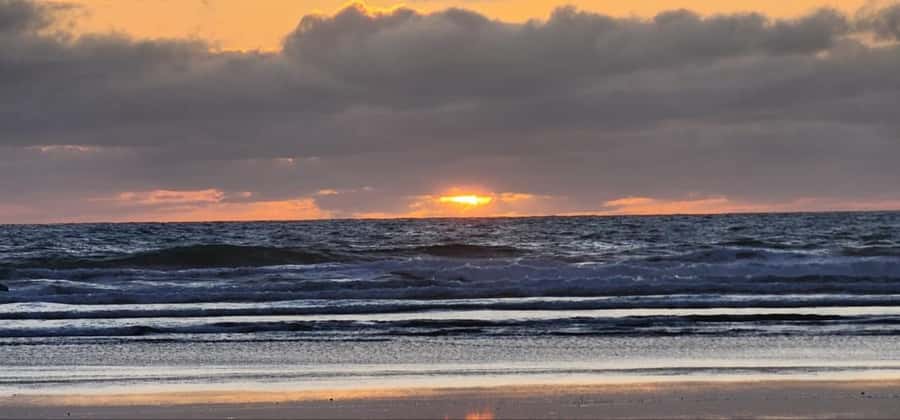 West Auckland: Sunset with Thermal pool & Wine Tasting - Price and Value: What $298 Really Buys You