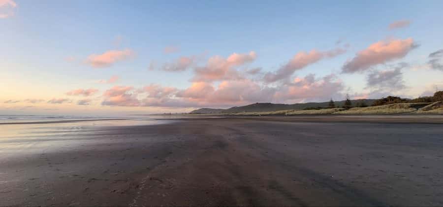 West Auckland: Sunset with Thermal pool & Wine Tasting - Who This Tour Suits Best, and Who Might Skip It