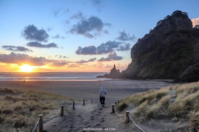 West Coast Discovery Piha Beach Private Tour - Piha Beach and Lion Rock: the black-sand payoff