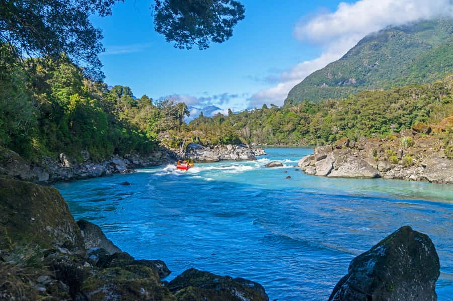 West Coast: Eco River Safari in UNESCO World Heritage Area - The big picture: why this UNESCO river route is special