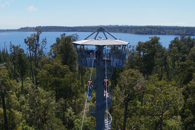 West Coast Tower Zipline & Treetop Walk Combo - Key highlights at a glance