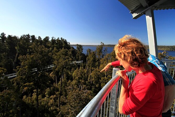 West Coast Tower Zipline & Treetop Walk Combo - West Coast Tower Zipline & Treetop Walk: what this combo is really like
