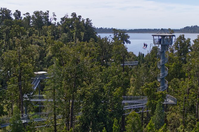 West Coast Tower Zipline & Treetop Walk Combo - After you land: cafe time and how to make the most of the 2 hours