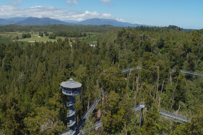West Coast Tower Zipline & Treetop Walk Combo - Private guide value, small group feel, and pacing that works