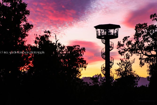 West Coast Treetop Walk - Getting to the West Coast Treetop Walk, and why the drive matters