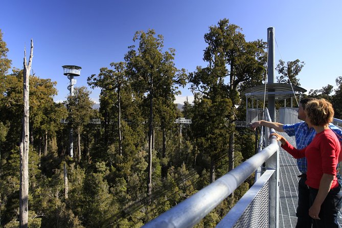 West Coast Treetop Walk - Flexible admission, your self-guided pace, and how to avoid time stress