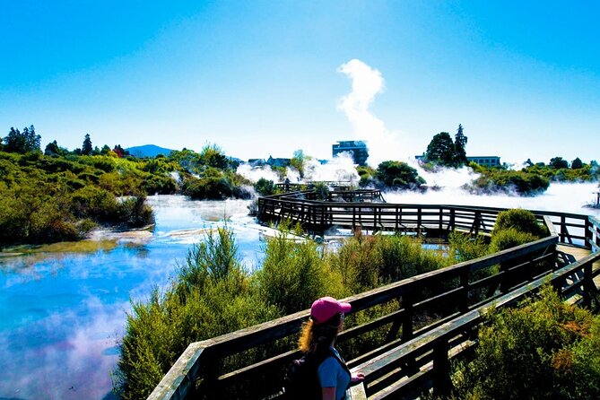 Whaka Geothermal Trails Self-Guided Tour - Native Forest Footsteps and Photo Stops That Actually Work