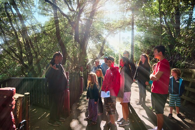 Whaka Trails and Maori Village Combo Tour - Stop-by-stop: how the timing usually plays out
