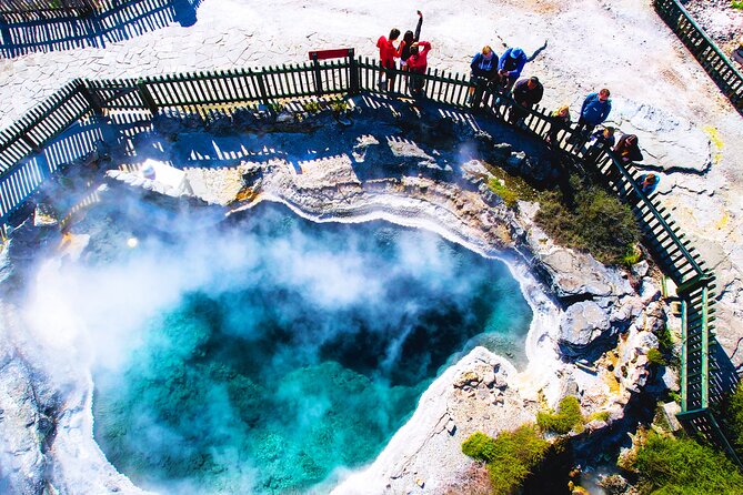 Whaka Trails and Maori Village Combo Tour - Price and value: why $54.30 makes sense here