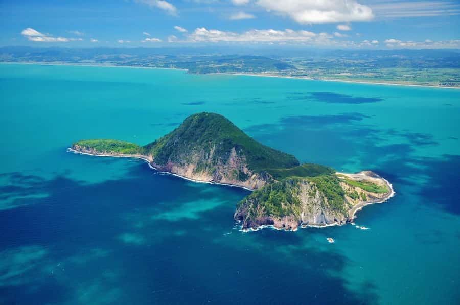 Whakaari - White Island Cultural and Flight Experience - Key things to know before you go
