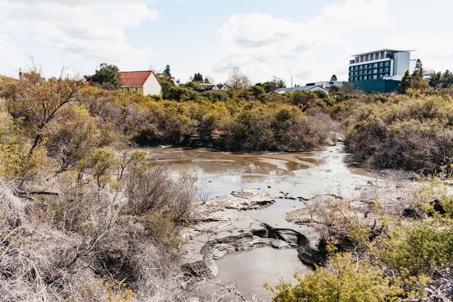 Whakarewarewa: Self-Guided Geothermal Trails - Who should book Whakarewarewa geothermal trails, and who might not