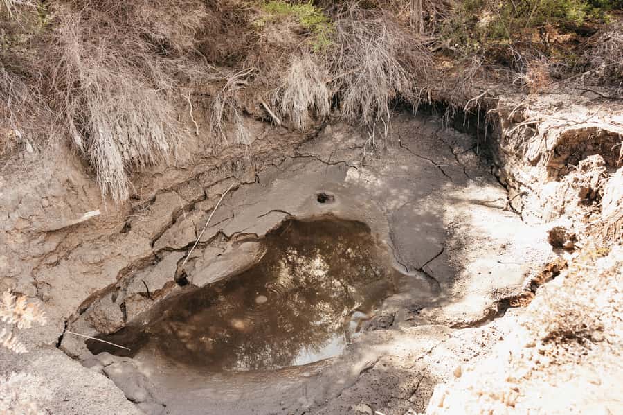 Whakarewarewa: Self-Guided Geothermal Trails - Price and value: is the $23 ticket worth it?
