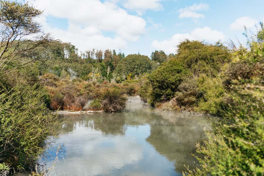 Whakarewarewa: Self-Guided Geothermal Trails - Timing tips: open hours and last call at 3:00 PM