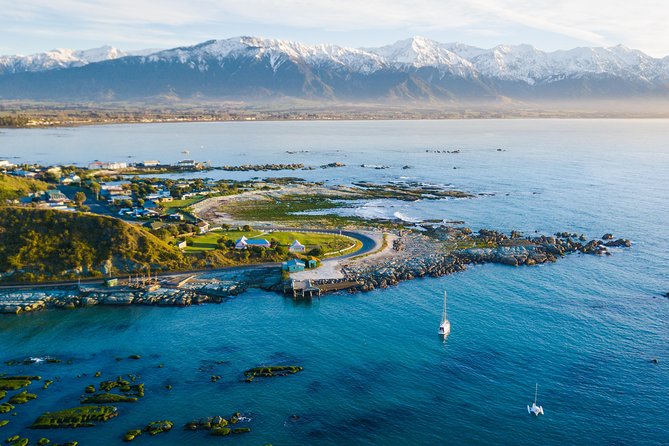 Whale Watching in Kaikoura by Boat - Onboard education that actually helps: commentary, animations, and real whale behavior
