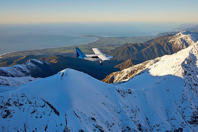 Whale Watching in Kaikoura - Ultimate Experience - Key Things That Make This Kaikoura Whale Flight Worth Your Time