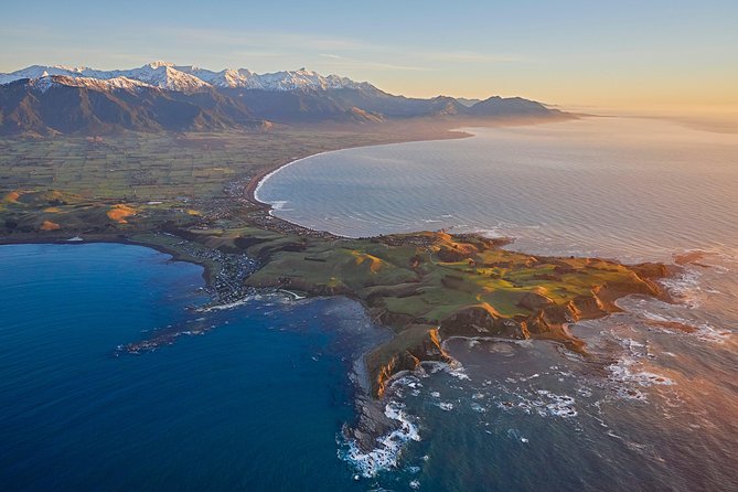 Whale Watching in Kaikoura - Ultimate Experience - Why a 30-Minute Whale Flight Works So Well in Kaikoura