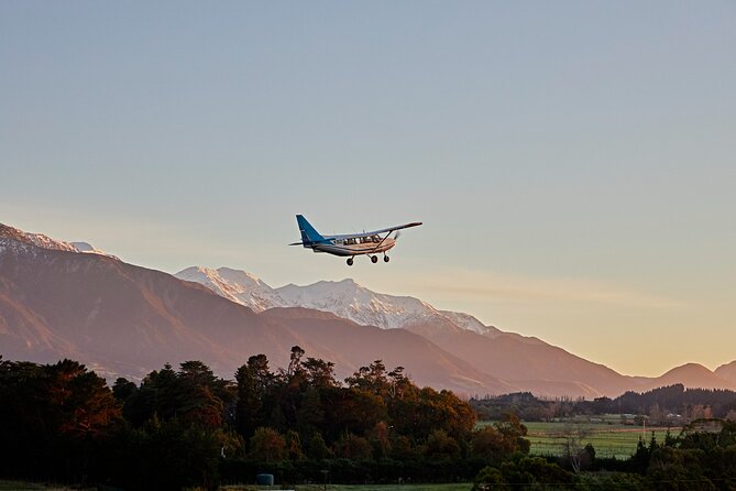 Whale Watching in Kaikoura - Ultimate Experience - The Wildlife and Geology Talk: Why It Makes the Flight Better