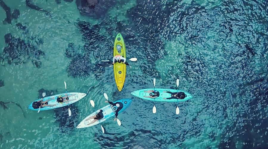 Whangamata: Donut Island Guided Kayaking Experience - Key highlights worth planning for