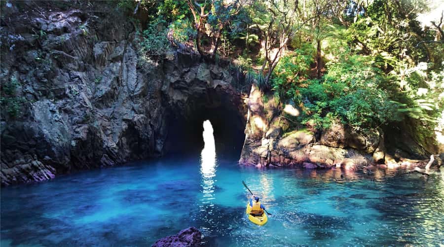 Whangamata: Donut Island Guided Kayaking Experience - Donut Island is a real wildlife sanctuary paddle (not just a photo stop)