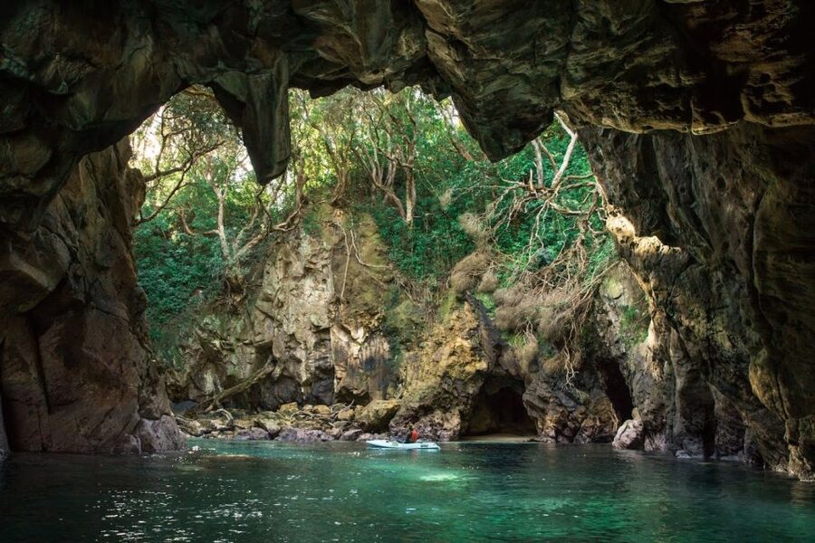 Whangamata: Donut Island Guided Kayaking Experience - Price and value: what you get for $62 in 2 hours