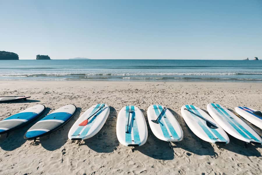 Whangamata: Donut Island Guided Kayaking Experience - Who this Donut Island kayaking tour suits best