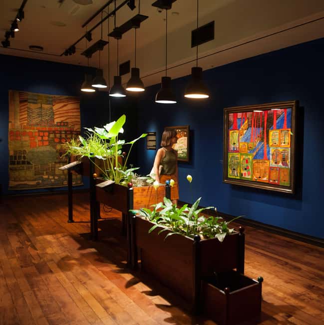 Whangārei: Hundertwasser Art Centre: Admission for one day. - Guided tour add-on: when the extra $20 makes sense