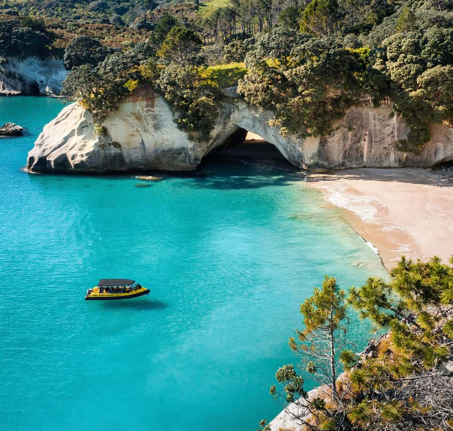 Whitianga: 2-Hour Cathedral Cove and Volcanic Coast Cruise - Should You Book This Whitianga Cathedral Cove Cruise?