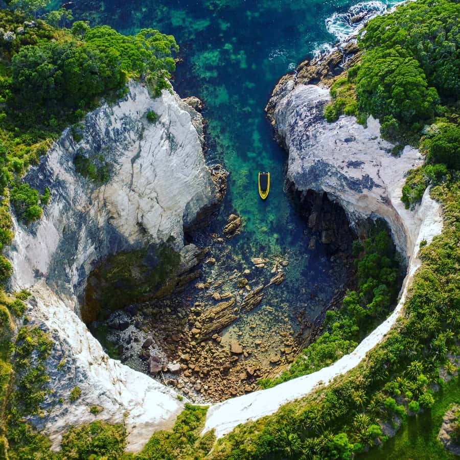 Whitianga: 2-Hour Cathedral Cove and Volcanic Coast Cruise - Cathedral Cove Viewing at Te Whanganui a Hei Marine Reserve