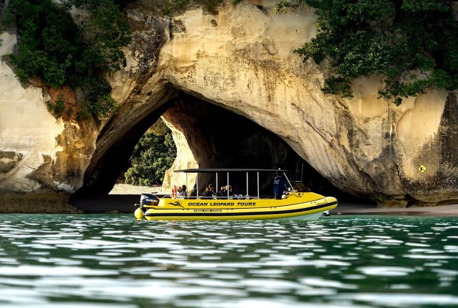 Whitianga: 2-Hour Cathedral Cove and Volcanic Coast Cruise - Boat Comfort, Photo Angles, and What the Small Size Changes