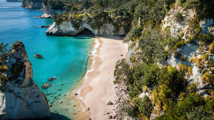 Whitianga: 2-Hour Cathedral Cove and Volcanic Coast Cruise - Price and Value for an $83, 2-Hour Cathedral Cove Cruise