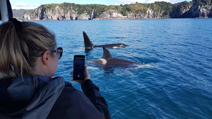 Whitianga: 2-Hour Cathedral Cove and Volcanic Coast Cruise - Lonely Bay, Cooks Beach, Hahei, and the Coast’s Big Rock Features