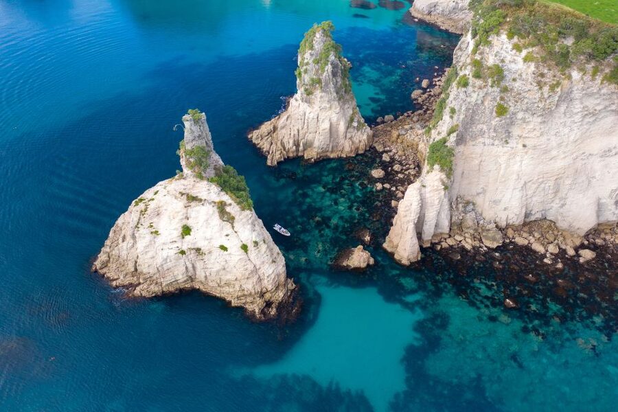 Whitianga: Cathedral Cove Thrilling Boat Tour and Snorkeling - The fast-boat thrills, what to expect and how to handle them