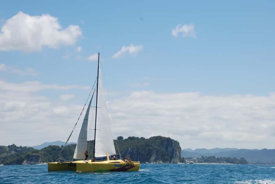 Whitianga: Sailing Trip to Cathedral Cove - Practical tips: timing, what to pack, and where to meet