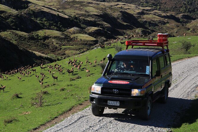 Wild Hills Off Road Safari - Heritage sites and local stories you can actually use