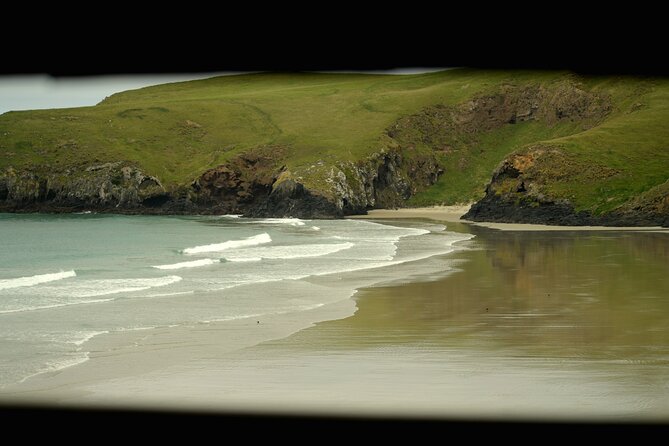 Wildlife and Penguin Tour - Binoculars, jackets, and a small group you can actually hear