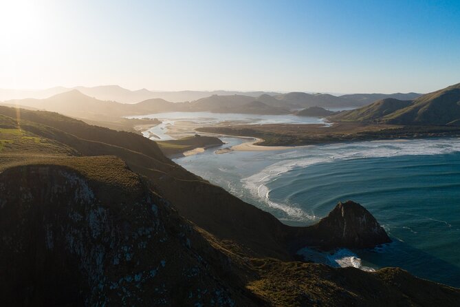 Wildlife and Penguin Tour - What wildlife viewing is actually like here