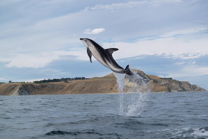 Wildlife Sea Kayaking Tour - Kaikoura - Gear and what to wear: staying warm, dry, and non-jean friendly