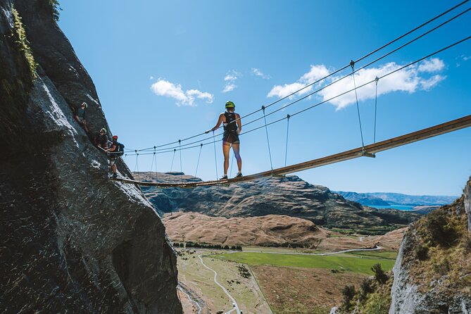Wildwire Wanaka- Level 2 (4 Hours) - Level 2 route, ladders, bridges, and the moment you realize you’re higher