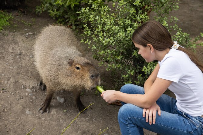 Willowbank Wildlife Reserve Day Entry - Café and retail: plan your snack stop, because food is not included
