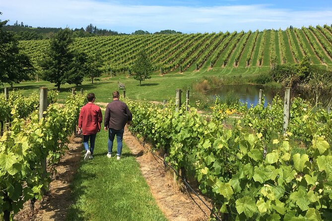 Wine Exposed Nelson Winery Tour - Upper Moutere for 4 hours: why that stop is worth the time
