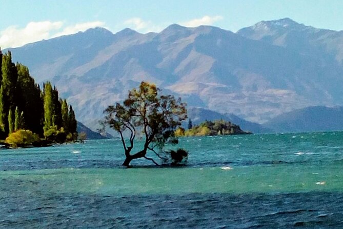 Wine Tasting Adventure Wanaka and Beyond - Central Otago in one day: what you’re really paying for