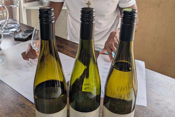 Wine Tasting Adventure Wanaka and Beyond - The tasting rhythm: winemaker chats, lunch platter, and vineyard-to-bottle context