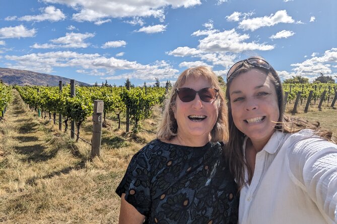 Wine Tasting Adventure Wanaka and Beyond - Price and logistics: what $245.13 buys you, and what to watch