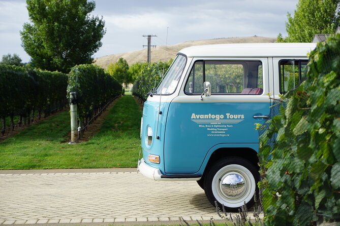 Wine Tour and Tastings in Hawkes Bay - Entering Hawke’s Bay by a restored 1970 Kombi Van