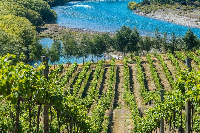 Wine Tour with Wine Tasting from Wanaka - The 3-course barrel-cooked banquet and matched wines