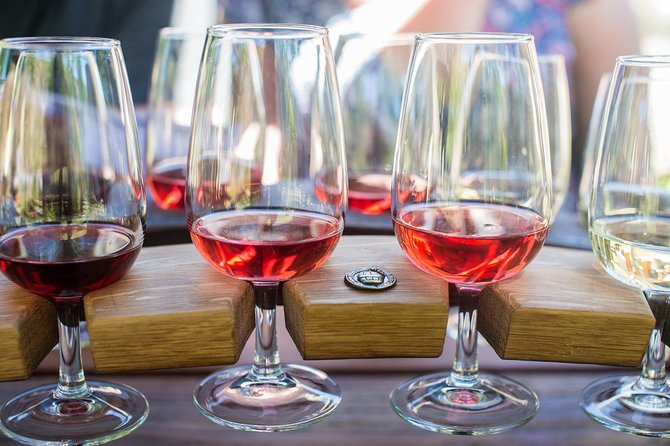 Wine Tour with Wine Tasting from Wanaka - Who should book this Wanaka wine tour, and who might not love it