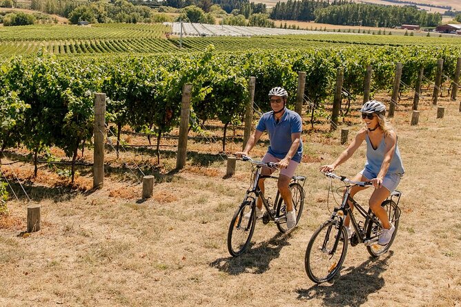 Wine trail and Christchurch City - Luxury, Small Group Tour - The luxury small-group format: how the minivan makes the day smoother