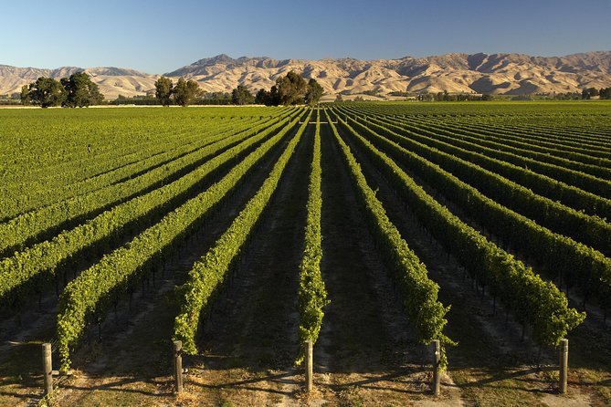 Wine trail and Christchurch City - Luxury, Small Group Tour - What you pay for in the $387.86 price, and why it is not just a wine tour