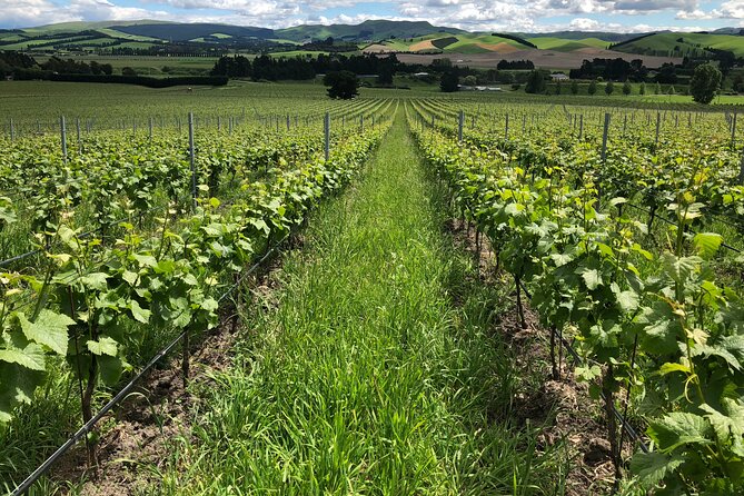 Wine trail and Christchurch City - Luxury, Small Group Tour - Timing, comfort, and pacing: what a 5 to 7 hour day feels like