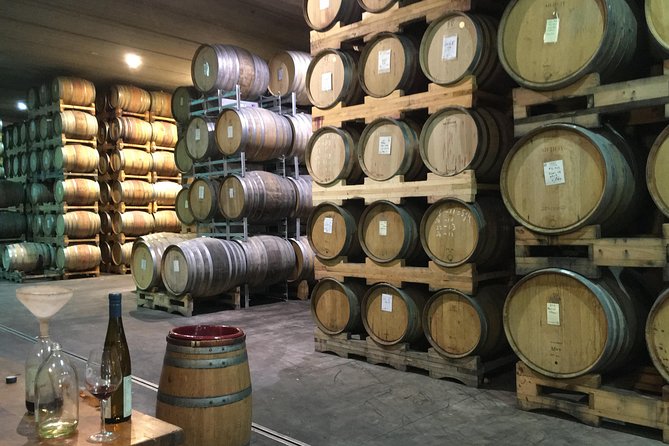 Wine trail and Christchurch City - Luxury, Small Group Tour - Who should book this Waipara and Christchurch luxury day